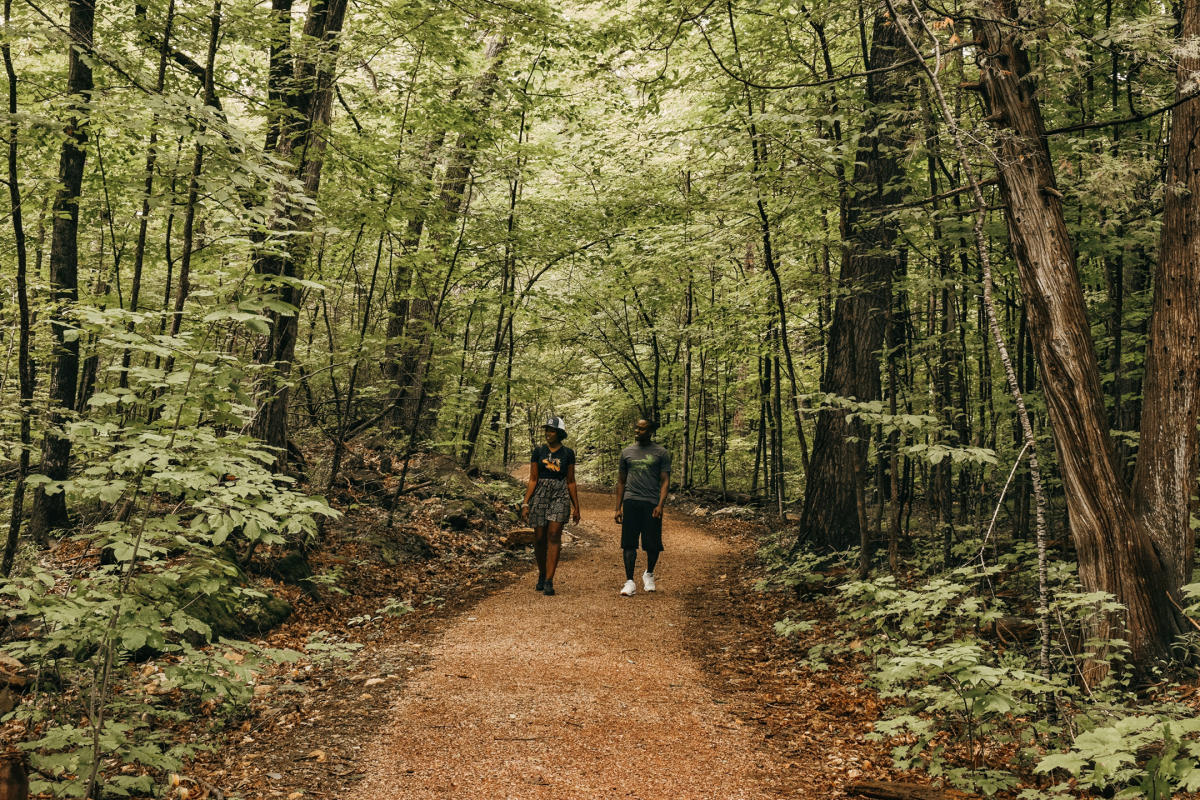 Hiking trail through Vermont green forest